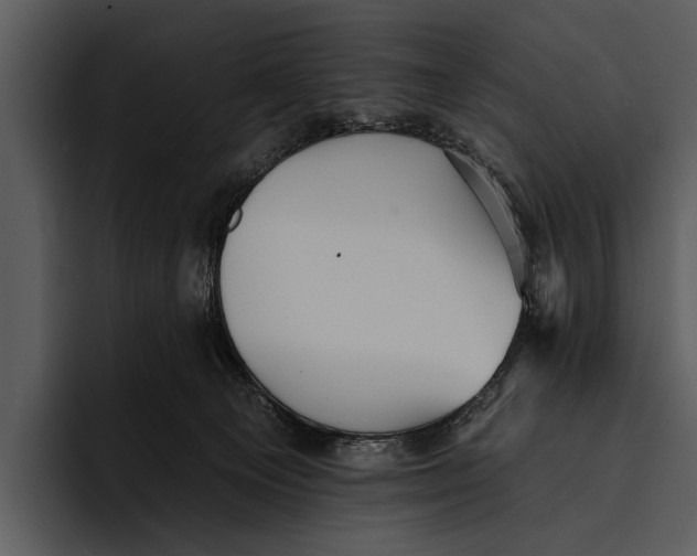 X0000095670129200801291144