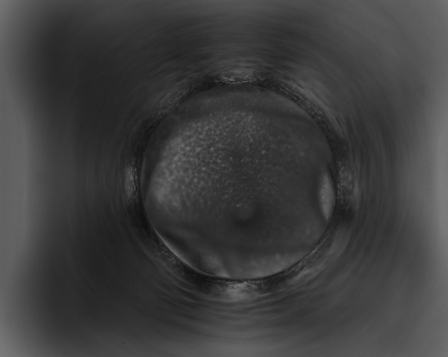 X0000095670130200801291144