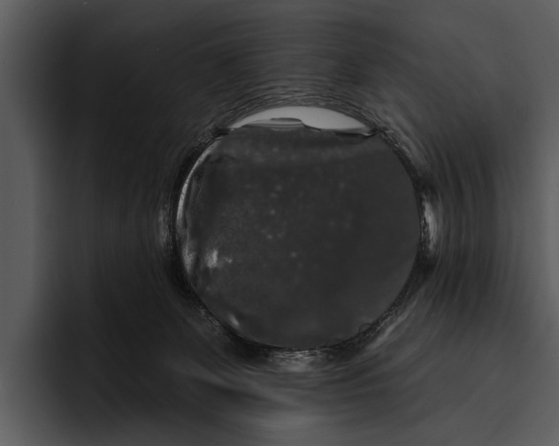 X0000095670131200801291144