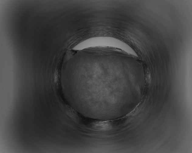 X0000095670132200801291144