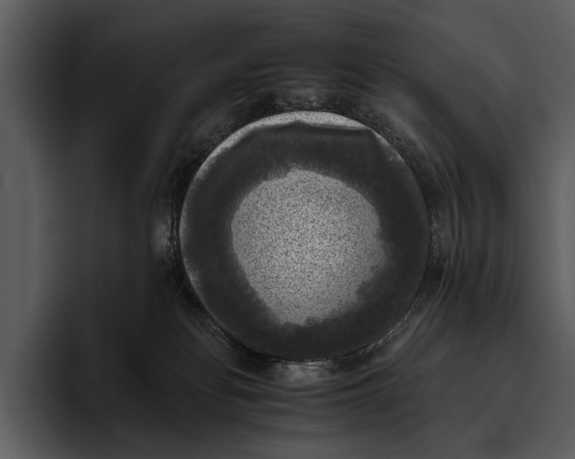 X0000095670134200801291144