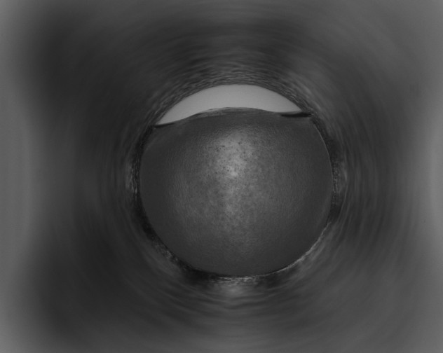 X0000095670136200801291144