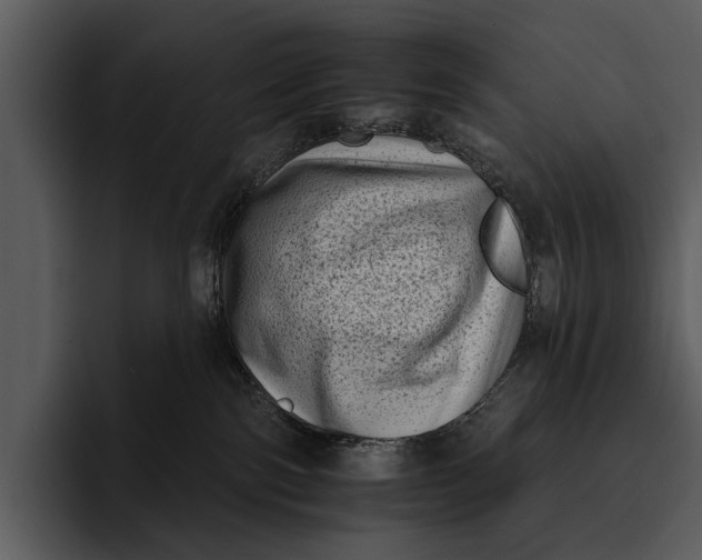 X0000095670138200801291144