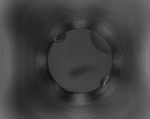 X0000095670139200801291144