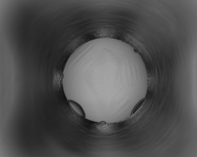 X0000095670142200801291144