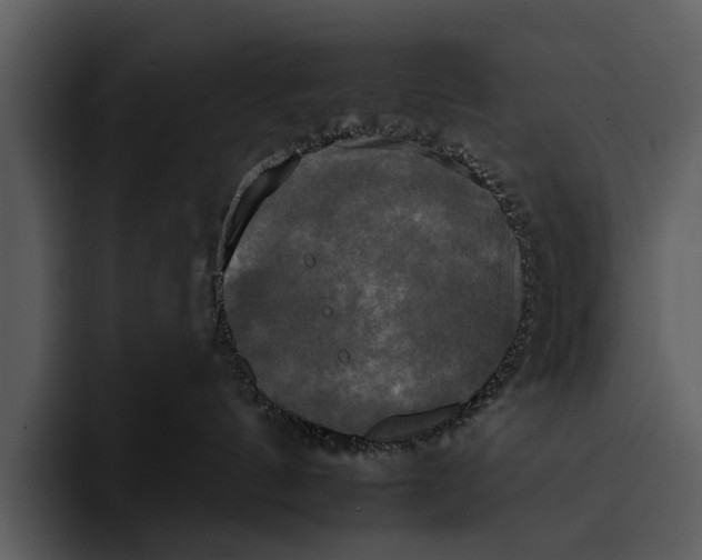 X0000095670144200801291144