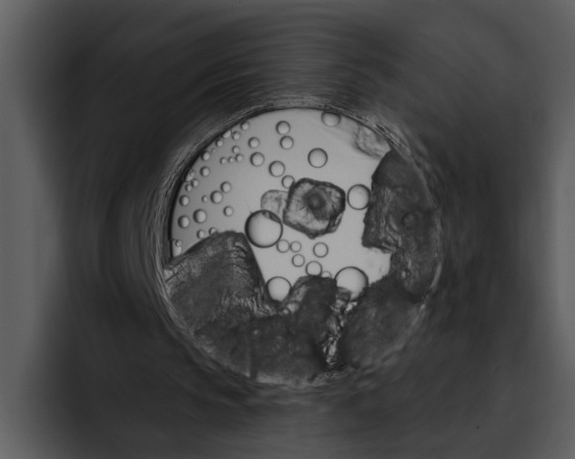 X0000095670145200801291144