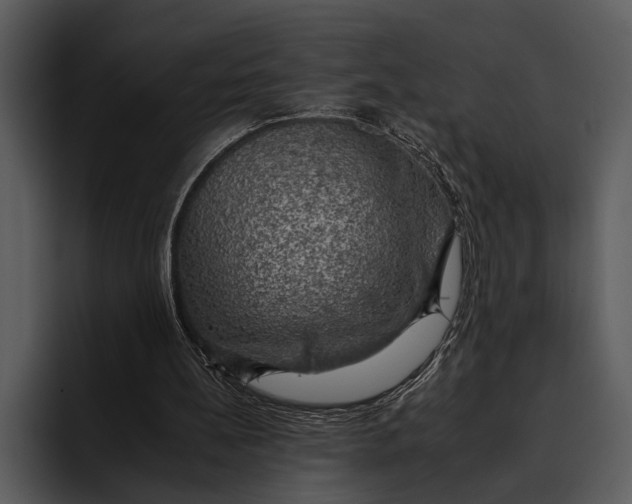 X0000095670148200801291144