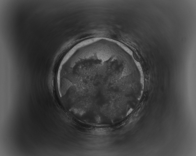 X0000095670149200801291144