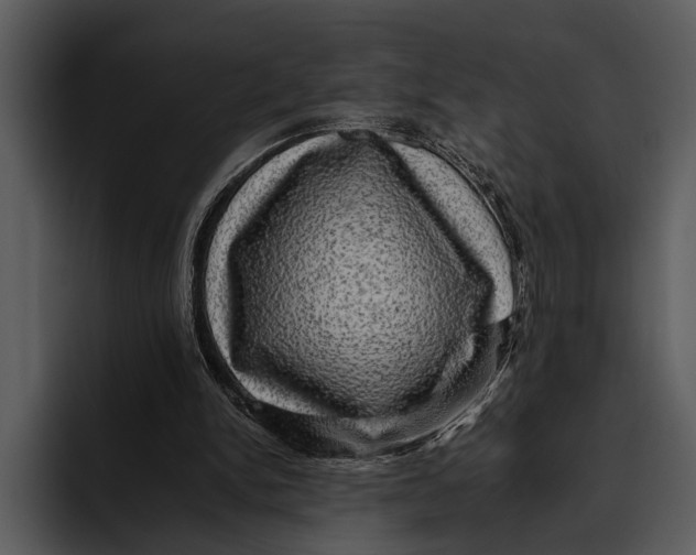 X0000095670150200801291144