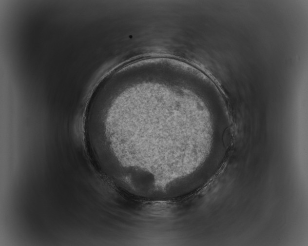 X0000095670151200801291144