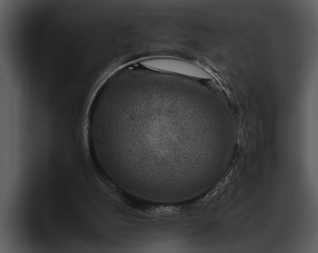 X0000095670152200801291144