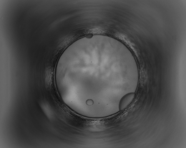 X0000095670153200801291144