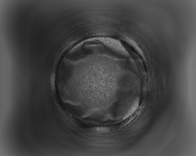 X0000095670154200801291144