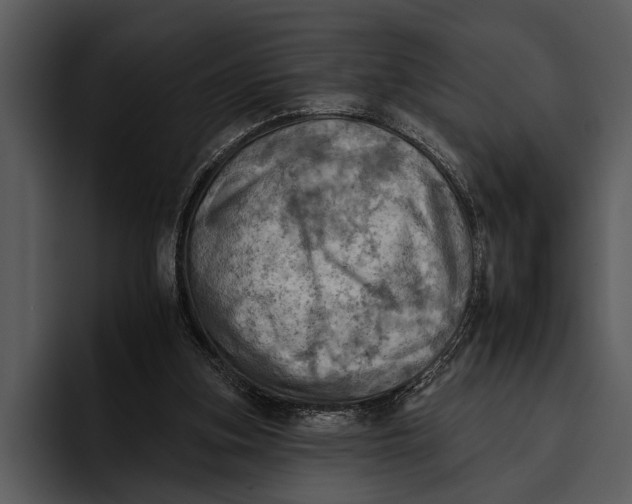 X0000095670155200801291144