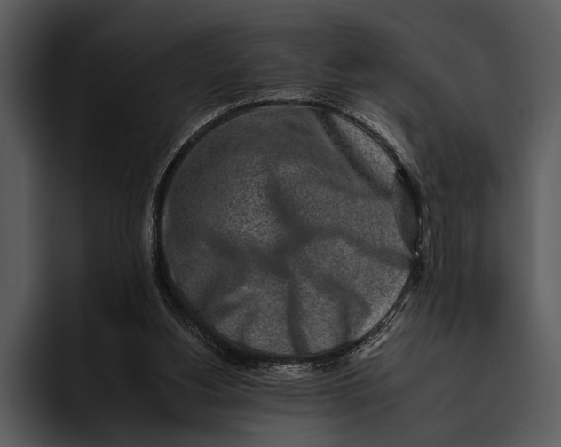 X0000095670156200801291144