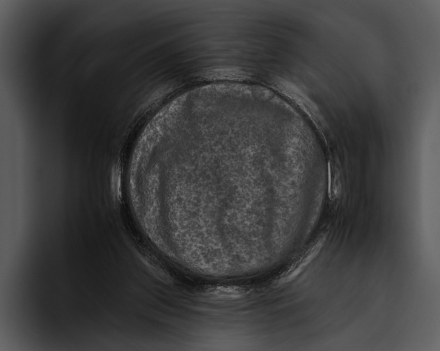 X0000095670157200801291144