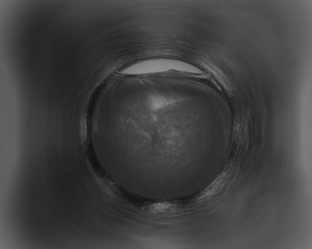 X0000095670158200801291144