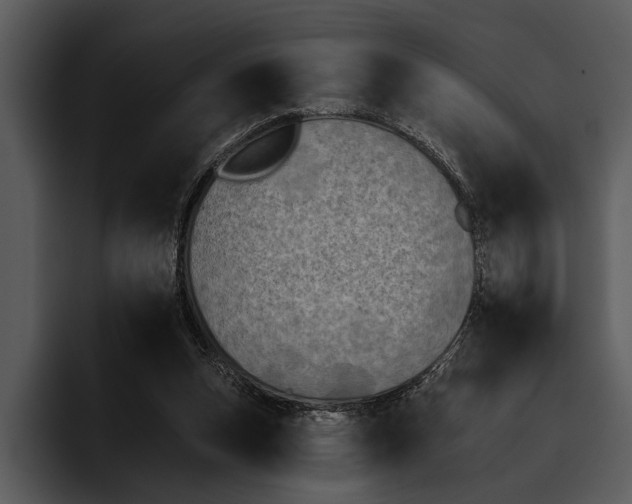 X0000095670159200801291144