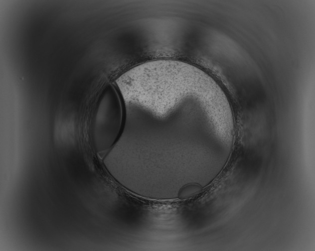 X0000095670161200801291144