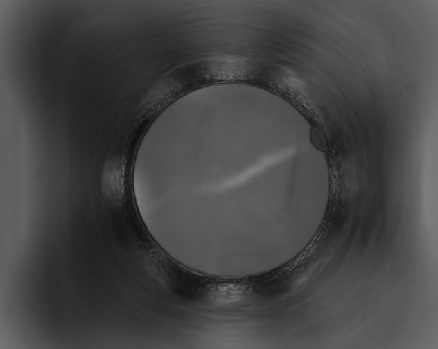 X0000095670163200801291144