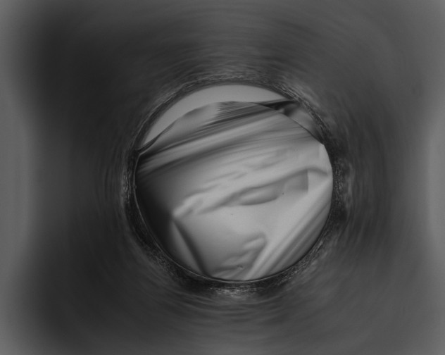 X0000095670164200801291144