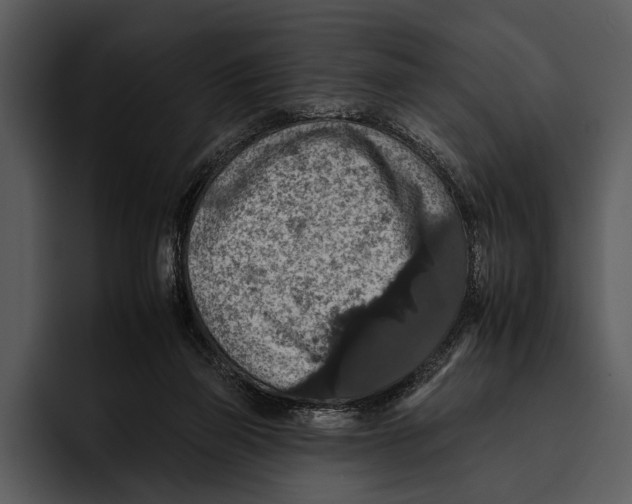 X0000095670165200801291144