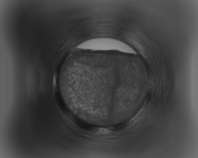 X0000095670166200801291144