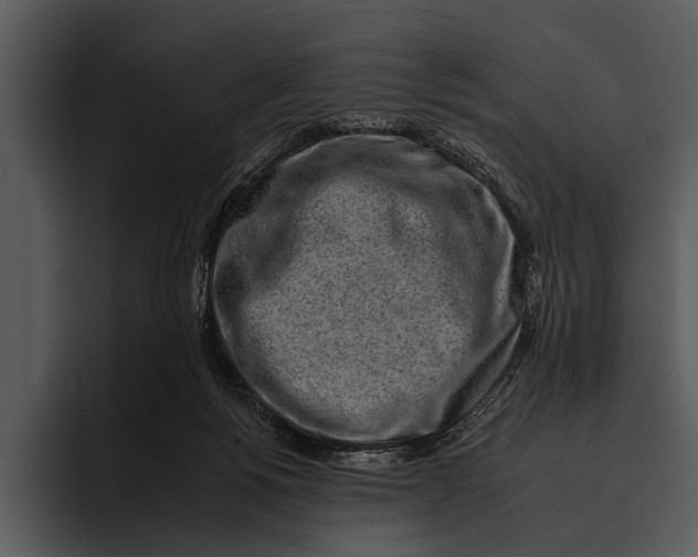 X0000095670168200801291144