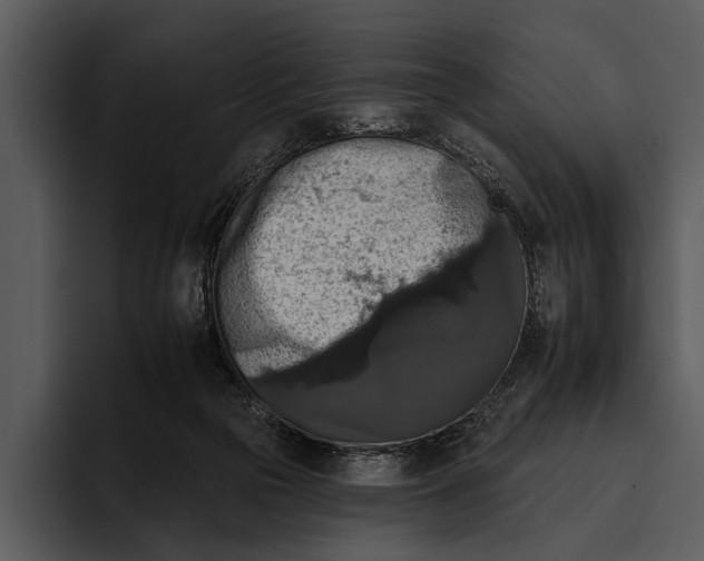 X0000095670169200801291144