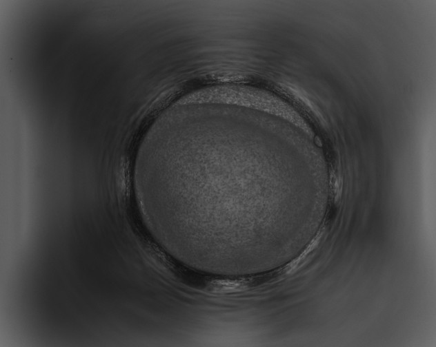 X0000095670170200801291144