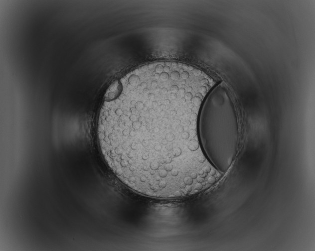 X0000095670171200801291144