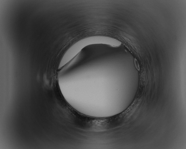 X0000095670172200801291144