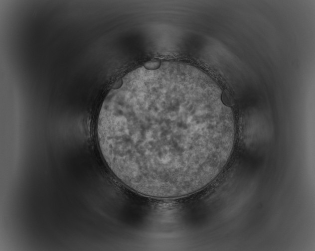 X0000095670173200801291144