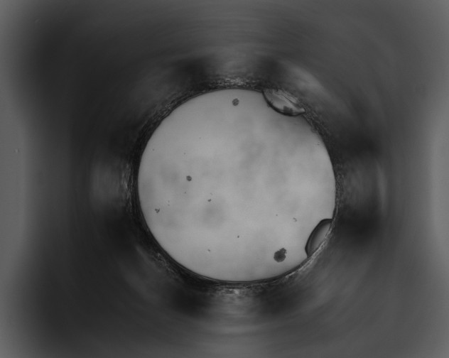 X0000095670174200801291144