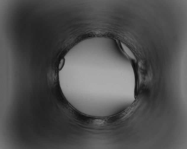 X0000095670176200801291144