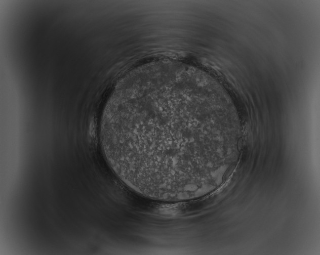 X0000095670178200801291144