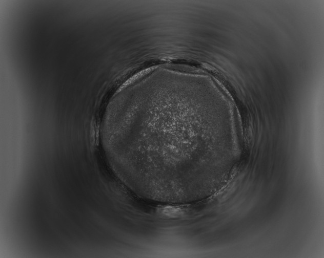 X0000095670180200801291144