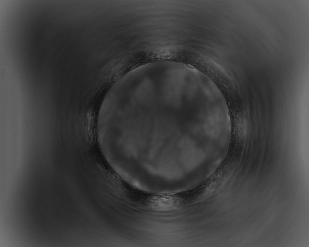 X0000095670181200801291144