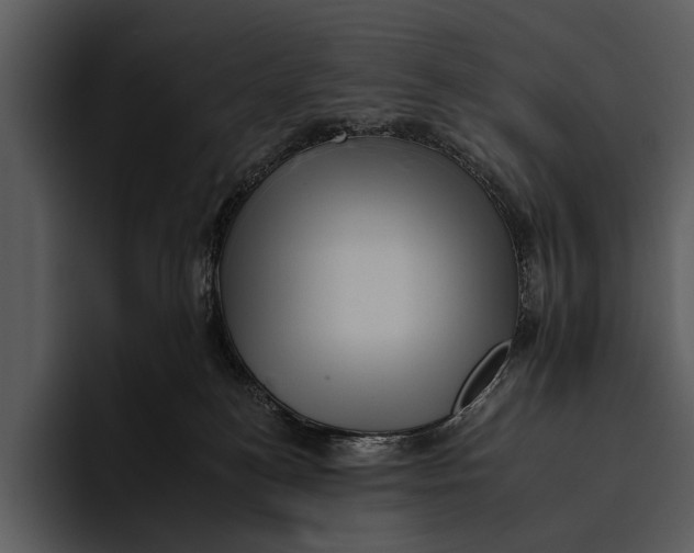 X0000095670184200801291144