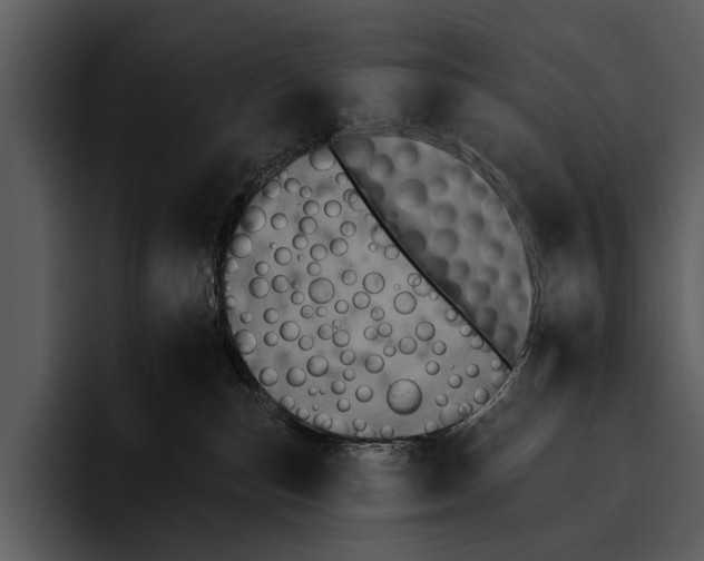 X0000095670187200801291144