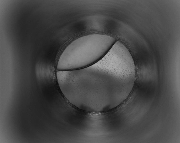 X0000095670189200801291144