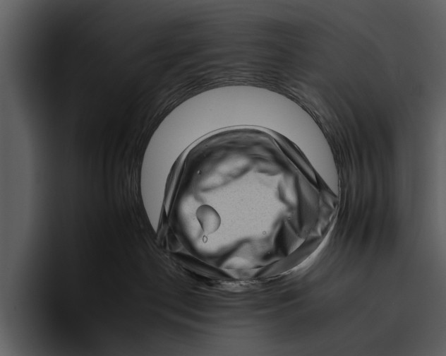 X0000095670190200801291144