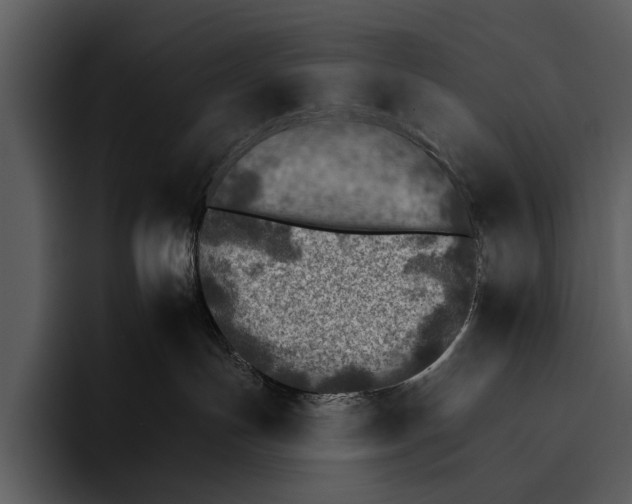 X0000095670191200801291144