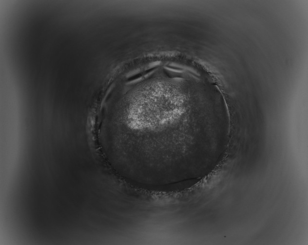 X0000095670192200801291144