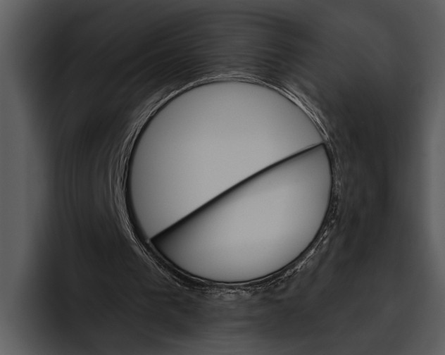 X0000095670193200801291144