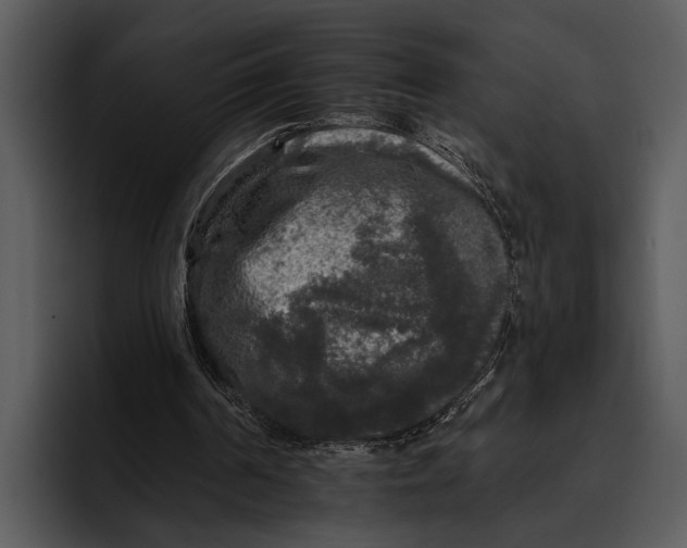 X0000095670194200801291144