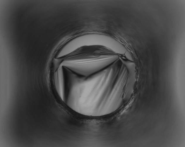 X0000095670197200801291143