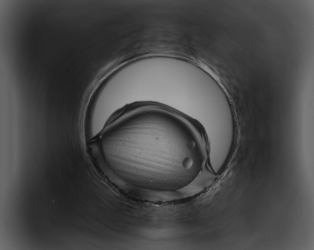 X0000095670199200801291143