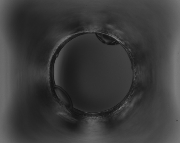 X0000095670200200801291143